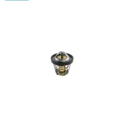 Termostat Gladiator X550, X8, X520, X450, X850                                                                                                                                                                                                            